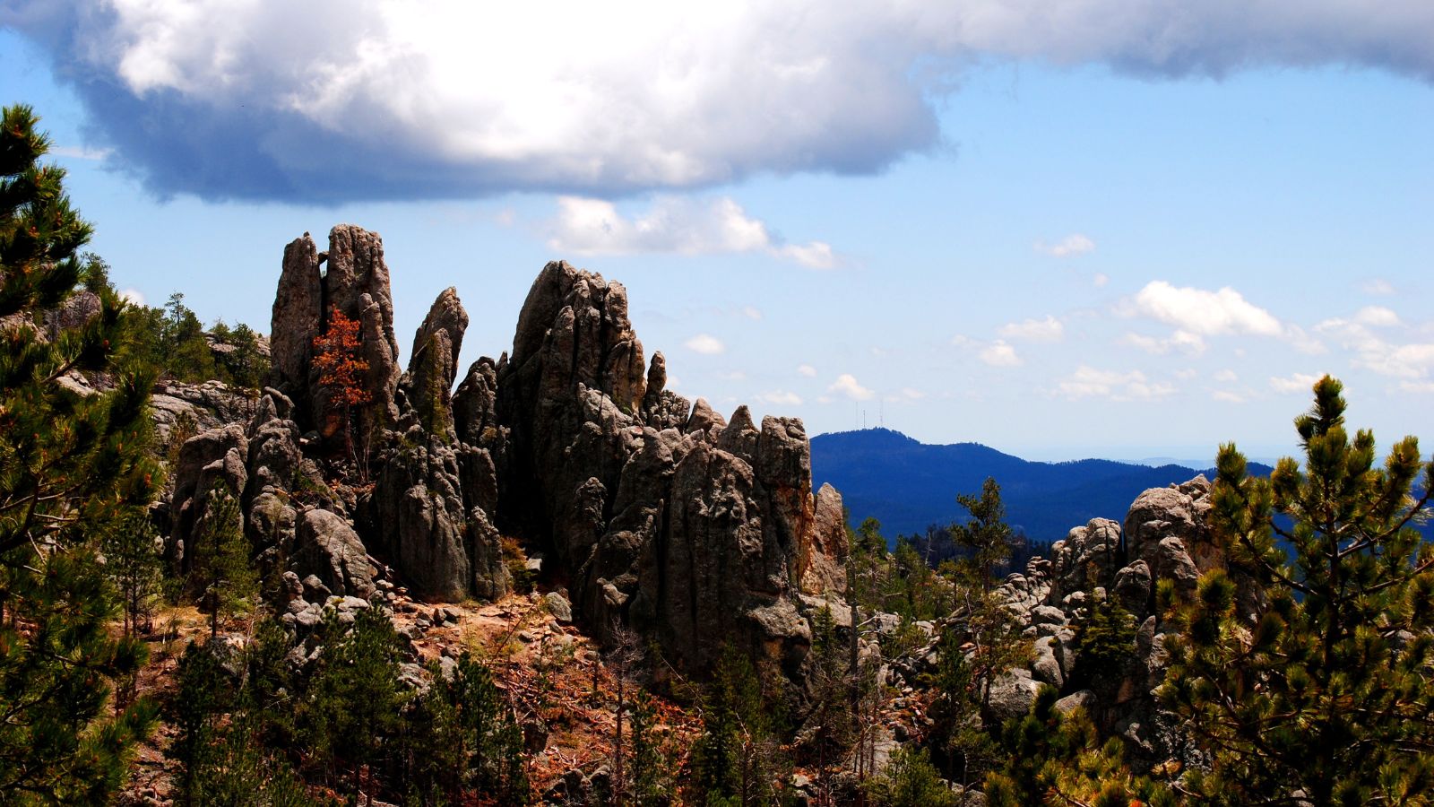 Top 5 Things to Do in Southern Black Hills