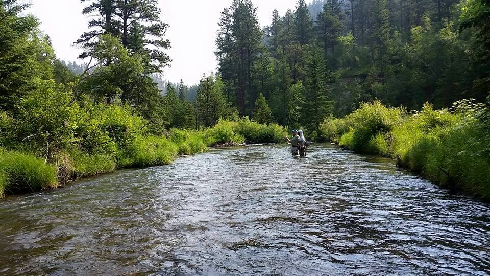 Fishing in Spearfish Canyon Wyoming