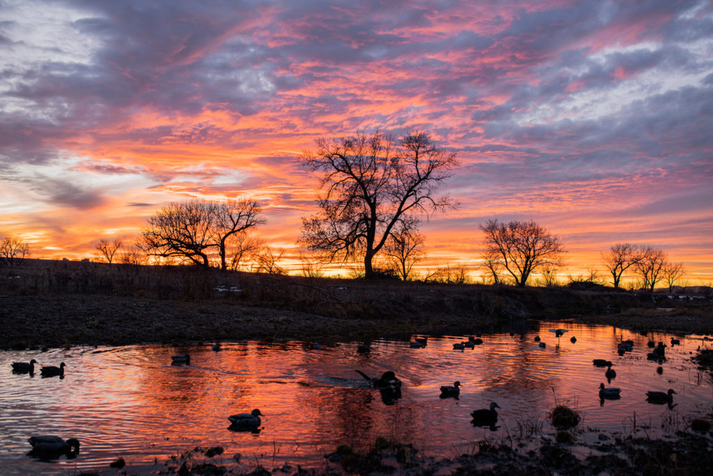 American Farm and Ranch Sporting Properties