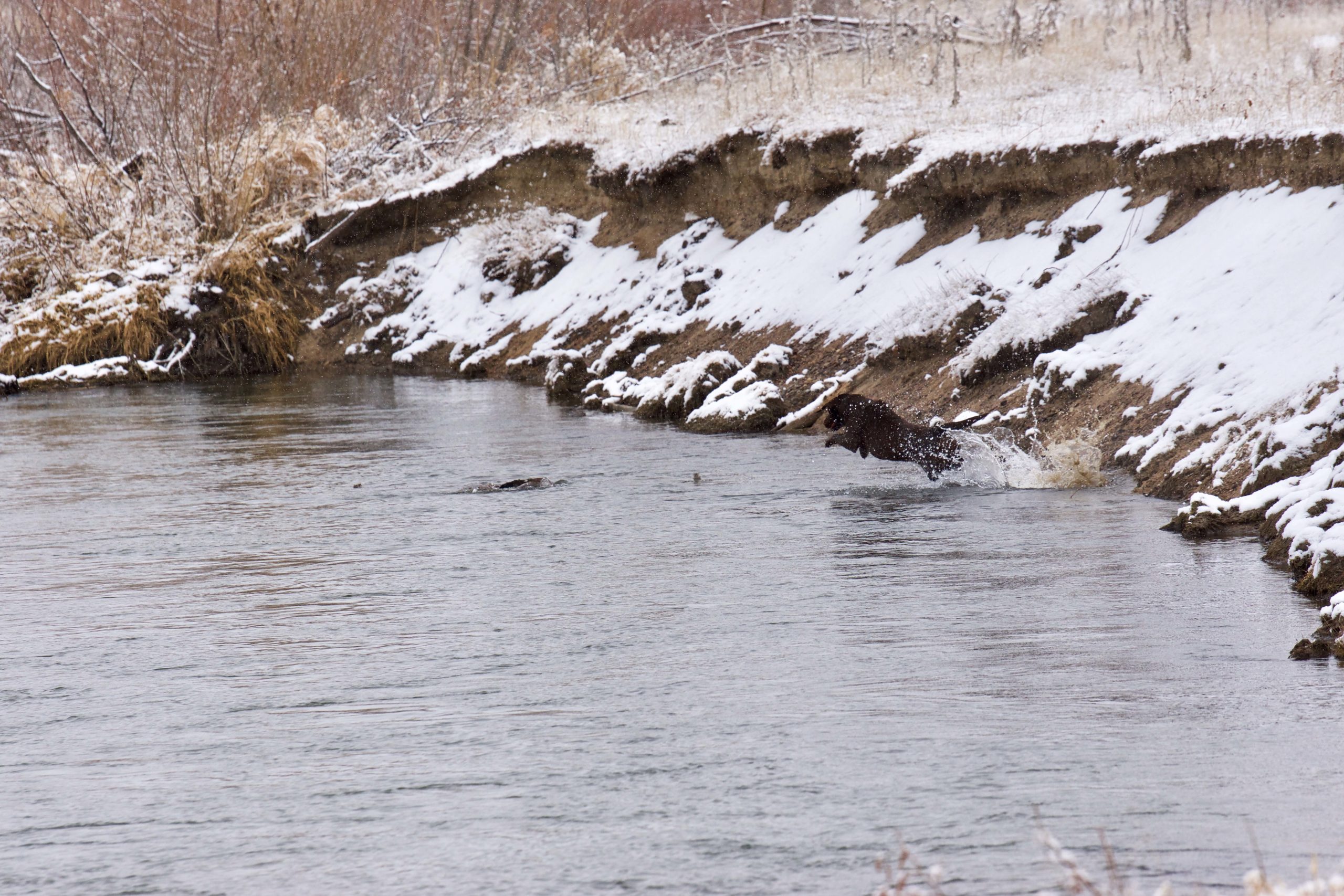 Spring Runoff Tips