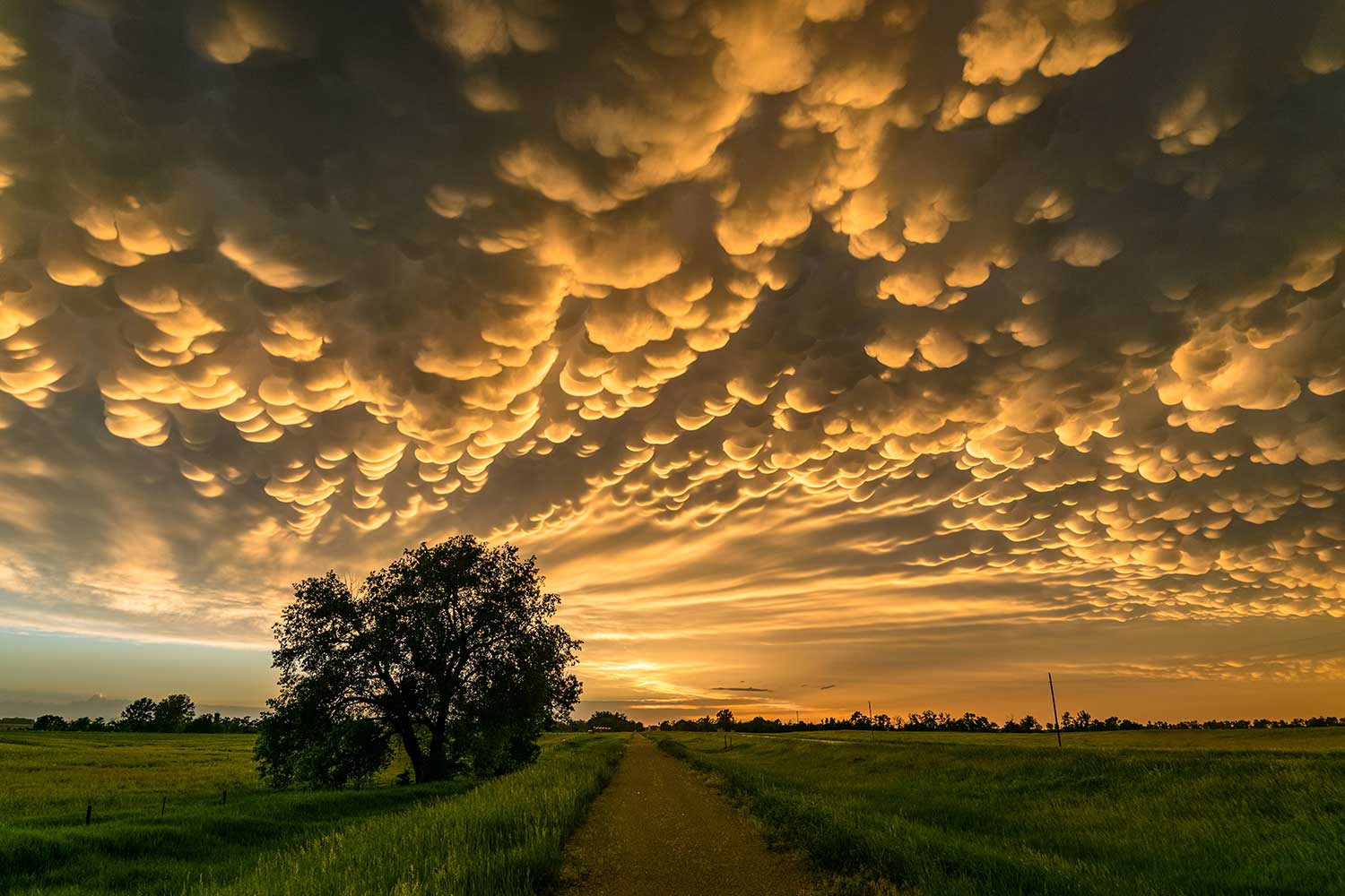 Mammatus Clouds at the Back of a Severe Thunderstorm Over Northern Nebraska