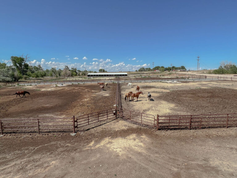 nebraska horse property for sale