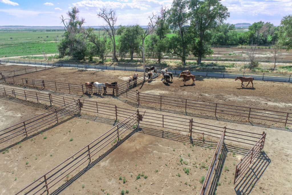 horse property for sale in NE with pipe fencing pens